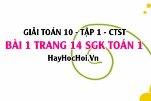 Giải bài 1 trang 14 Toán 10 tập 1 SGK Chân trời sáng tạo